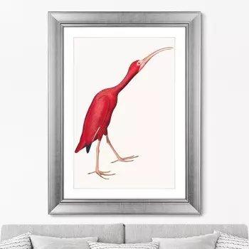 Картина Scarlet Ibis, 1827г. (60,5х80,5 см)