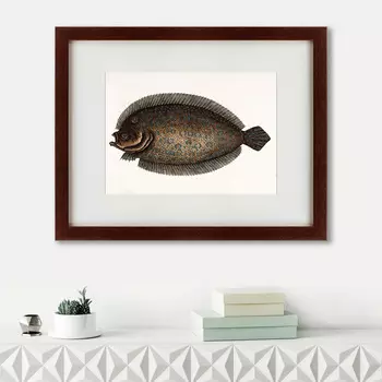 Картина Sole Fish (47х60 см)