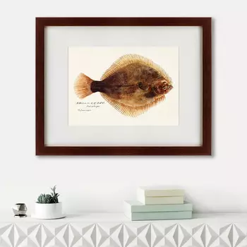 Картина Southern Pacific Fish Illustration (47х60 см)