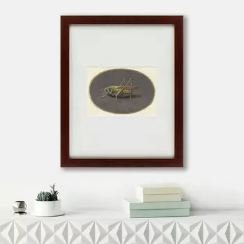 Картина Sprinkhaan (42х52 см)