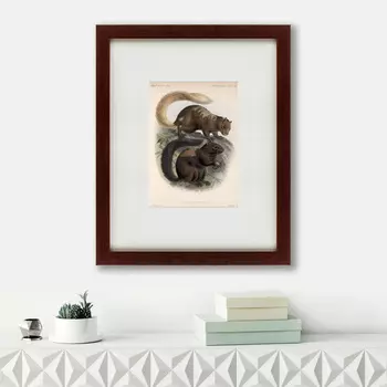 Картина Squirrel (42х52 см)