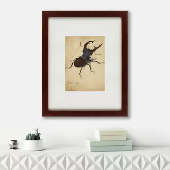 Картина Stag Beetle (42х52 см)