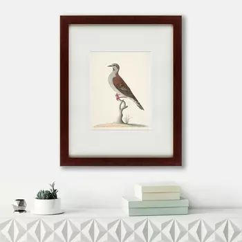 Картина The Brown Bird (42х52 см)