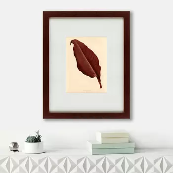 Картина The Dark Red leaf (42х52 см)