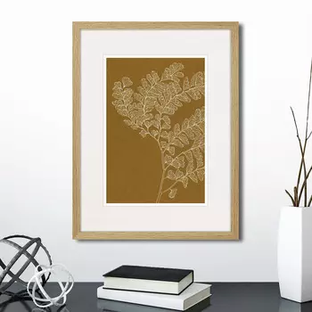 Картина The fern collection №16 (32х42 см)