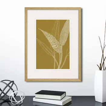 Картина The fern collection №40 (32х42 см)