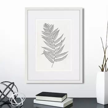 Картина The fern collection №4 (32х42 см)