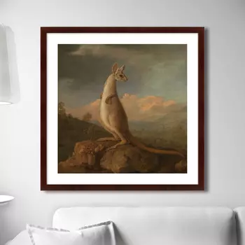 Картина The Kongouro from New Holland, 1772г. (79х79 см)