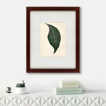 Картина The leaf (42х52 см)