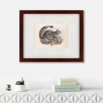 Картина The Squirrel (42х52 см)