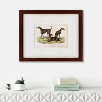 Картина Three African Bloodhounds (42х52 см)