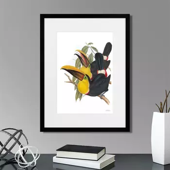Картина Toucans №1, 1849г. (32х42 см)