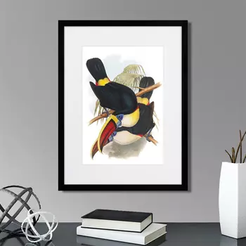 Картина Toucans №2, 1849г. (32х42 см)