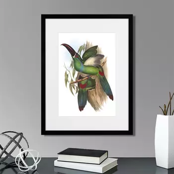 Картина Toucans №5, 1849г. (32х42 см)