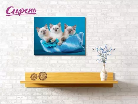 Картина Три Котенка (40х60 см)