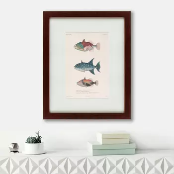 Картина Tropical Fish (42х52 см)