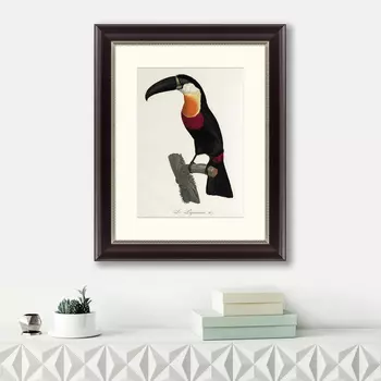 Картина Тукан-Aриель (42х52 см)