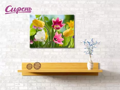 Картина Тюльпаны В Росе (40х60 см)