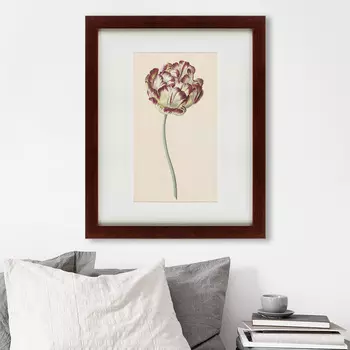 Картина Tulp №1 (42х52 см)