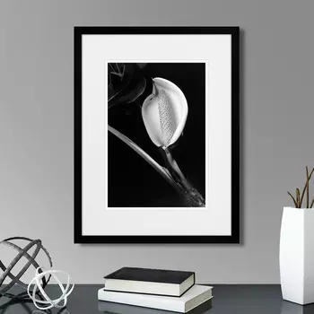 Картина Two colors of flowers №2 (32х42 см)