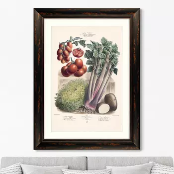 Картина Vilmorin Andrieux &amp; Cie, Альбом №37 (60,5х80,5 см)