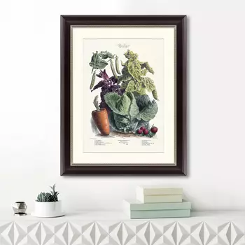 Картина Vilmorin Andrieux &amp; Cie, Альбом №42 (47х60 см)