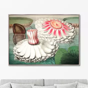 Картина Water lily during bloom, 1870г. (75х105 см)