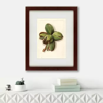 Картина Watercolor Collection, Drawing №1 (42х52 см)