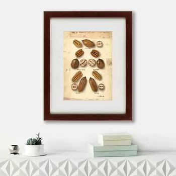 Картина Watercolor Collection, Drawing №6 (42х52 см)