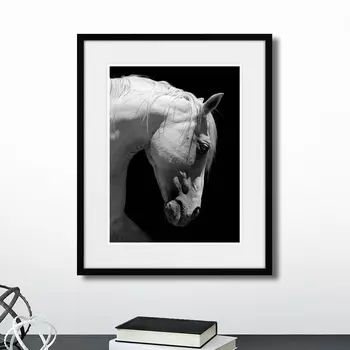 Картина White Andalsuian Horse (42х52 см)