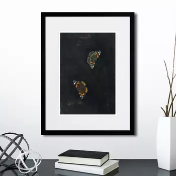 Картина Zwei schmetterlinge II, 1655г. (32х42 см)