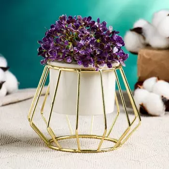 Кашпо (180 мл)