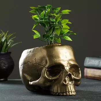 Кашпо Череп (19х14х13 см)