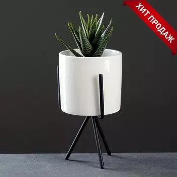 Кашпо Цилиндр (300 мл)