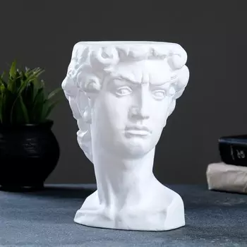 Кашпо Давид (1250 мл)