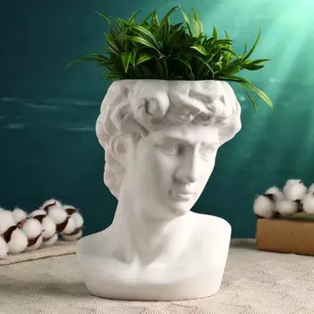 Кашпо Голова Давида (2100 мл)