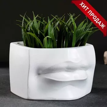 Кашпо Губы Давида цвет: белый (16х16х12 см)