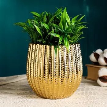 Кашпо Кактус (14х12х12 см)