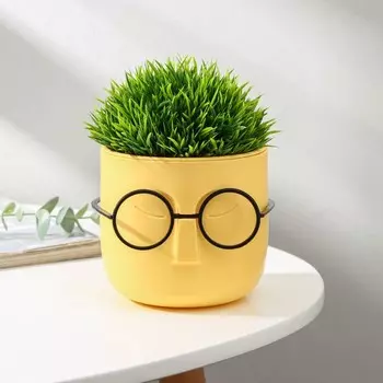 Кашпо Стив (650 мл)