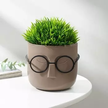 Кашпо Стив (650 мл)