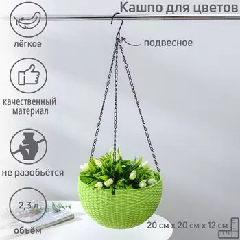 Кашпо в ассортименте (2700 мл)