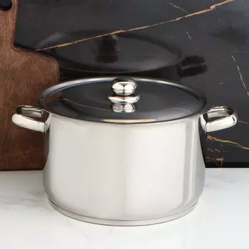 Кастрюля Профи (37х30х20 см)