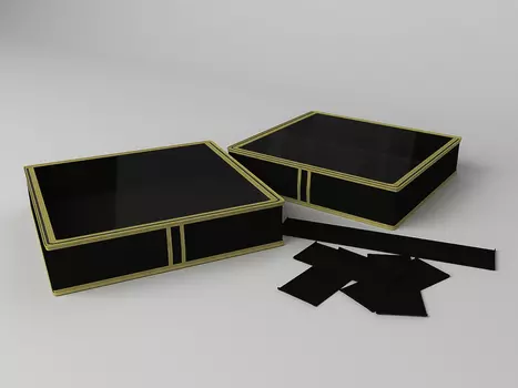 Кофр для обуви Классик Цвет: Черный (12х52х56 см)