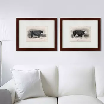 Коллекция A Hereford bulls (42х52 см - 2 шт)