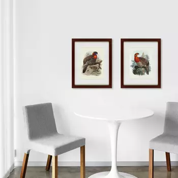 Коллекция Багровые трагопаны (42х52 см - 2 шт - 2 шт)