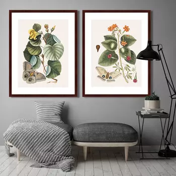 Коллекция Beauty bloom (79х100 см - 2 шт)