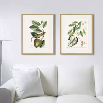 Коллекция Blue Tail Lizard (42х52 см - 2 шт)