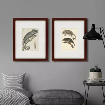 Коллекция Des reptiles (42х52 см - 2 шт)