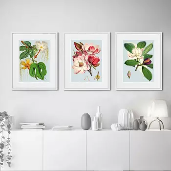 Коллекция Himalaya Plants (42х52 см - 3 шт)