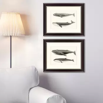Коллекция Humpback whales (42х52 см - 2 шт)